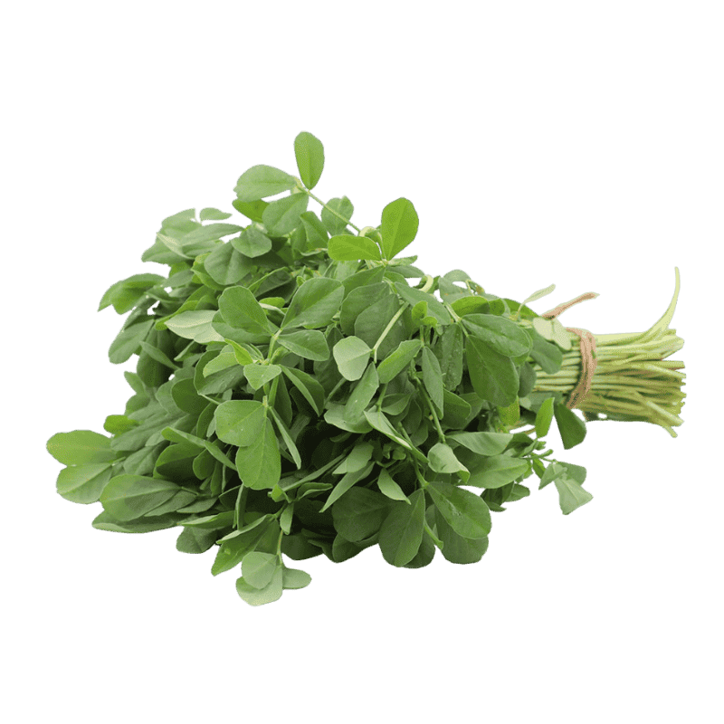 Fenugreek