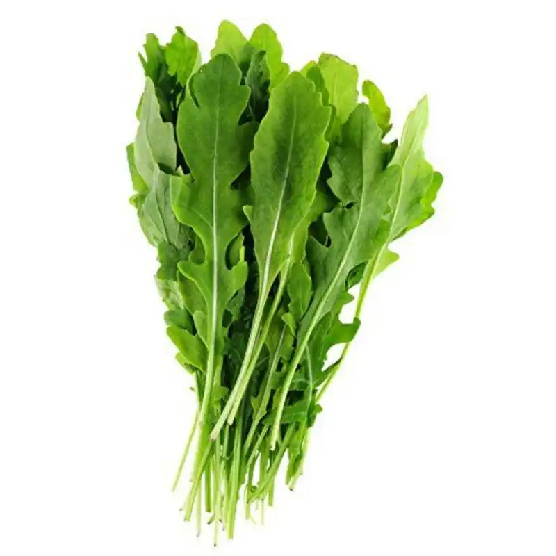 Rocket Leaves Arugula Hydroponically Grown