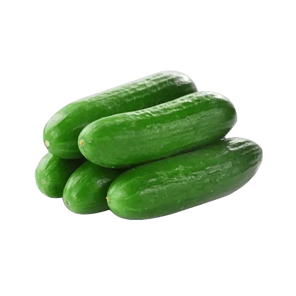 Seedless Cucumber